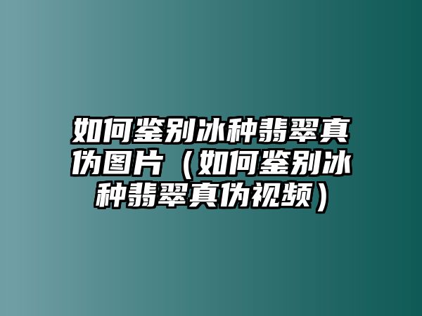 如何鑒別冰種翡翠真偽圖片（如何鑒別冰種翡翠真偽視頻）