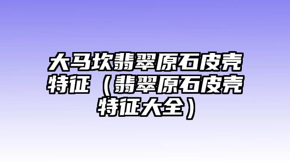 大馬坎翡翠原石皮殼特征（翡翠原石皮殼特征大全）