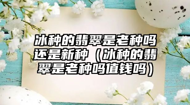 冰種的翡翠是老種嗎還是新種（冰種的翡翠是老種嗎值錢嗎）