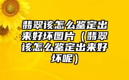 翡翠該怎么鑒定出來(lái)好壞圖片（翡翠該怎么鑒定出來(lái)好壞呢）