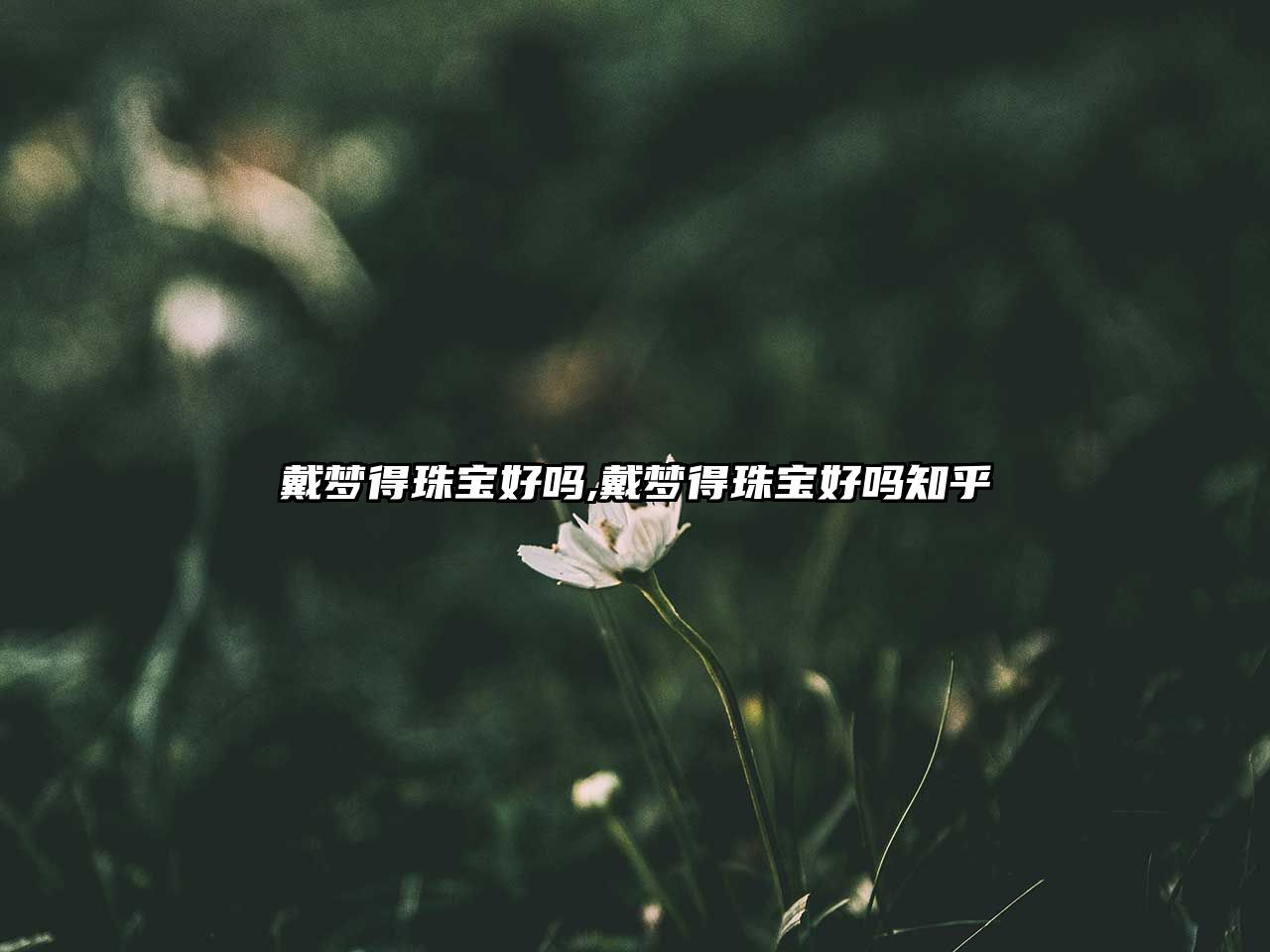 戴夢得珠寶好嗎,戴夢得珠寶好嗎知乎