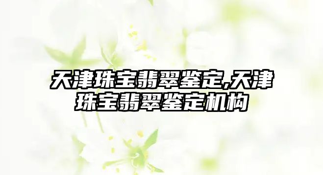 天津珠寶翡翠鑒定,天津珠寶翡翠鑒定機構