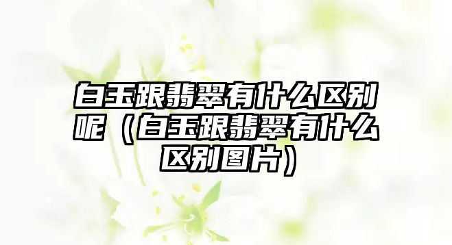 白玉跟翡翠有什么區別呢（白玉跟翡翠有什么區別圖片）