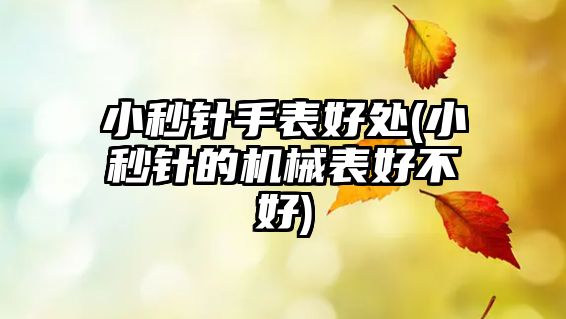 小秒針手表好處(小秒針的機械表好不好)