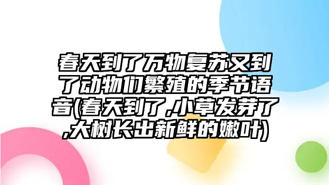 春天到了萬物復蘇又到了動物們繁殖的季節語音(春天到了,小草發芽了,大樹長出新鮮的嫩葉)