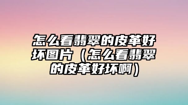 怎么看翡翠的皮革好壞圖片（怎么看翡翠的皮革好壞啊）