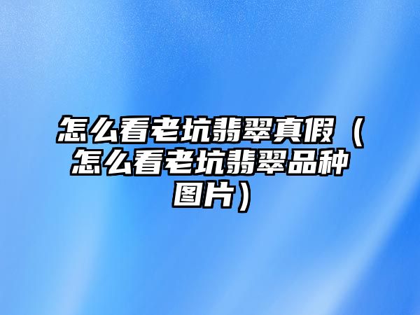 怎么看老坑翡翠真假（怎么看老坑翡翠品種圖片）