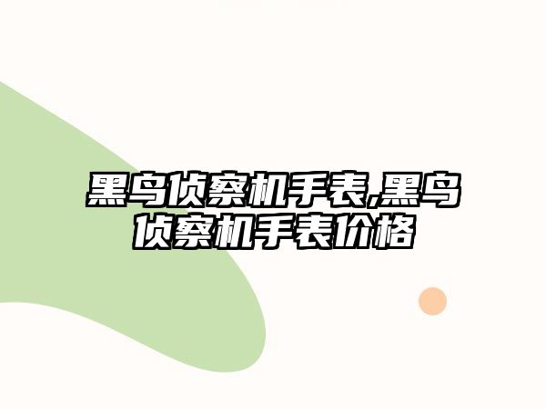 黑鳥偵察機手表,黑鳥偵察機手表價格