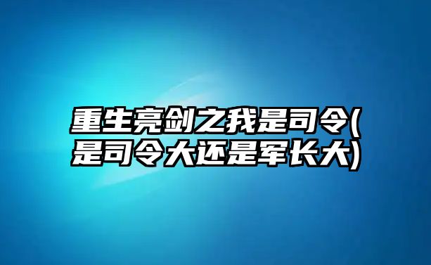 重生亮劍之我是司令(是司令大還是軍長大)