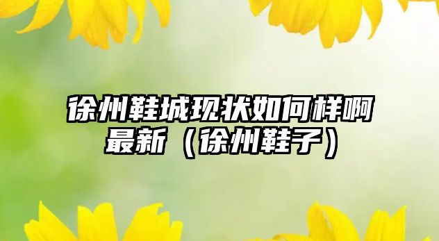 徐州鞋城現狀如何樣啊最新（徐州鞋子）