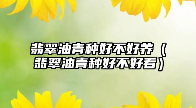 翡翠油青種好不好養（翡翠油青種好不好看）