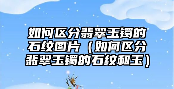 如何區(qū)分翡翠玉鐲的石紋圖片（如何區(qū)分翡翠玉鐲的石紋和玉）