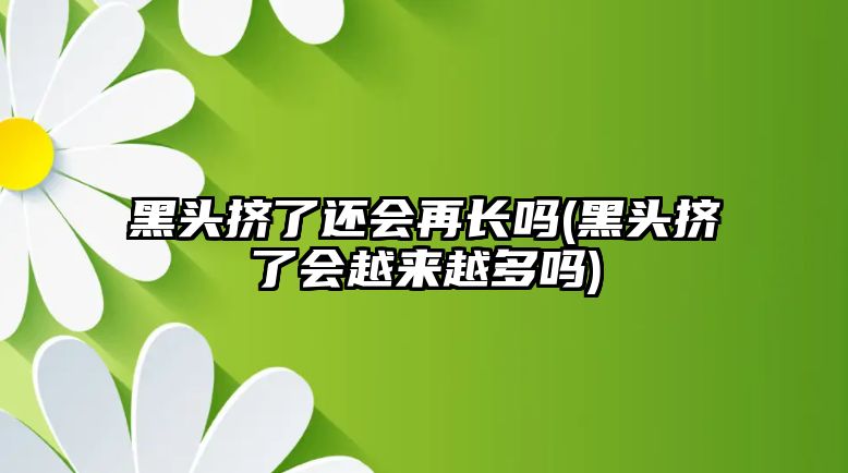 黑頭擠了還會再長嗎(黑頭擠了會越來越多嗎)