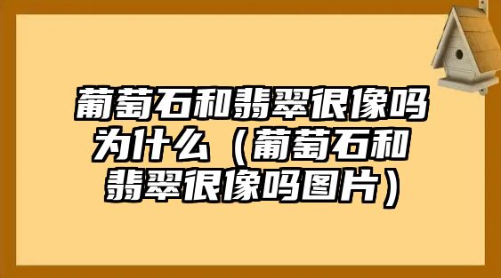 葡萄石和翡翠很像嗎為什么（葡萄石和翡翠很像嗎圖片）