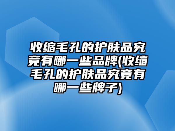 收縮毛孔的護膚品究竟有哪一些品牌(收縮毛孔的護膚品究竟有哪一些牌子)