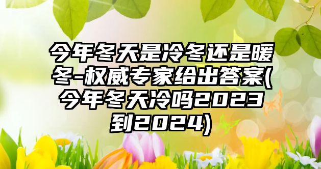 今年冬天是冷冬還是暖冬-權威專家給出答案(今年冬天冷嗎2023到2024)