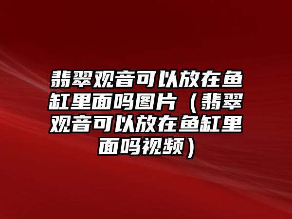 翡翠觀音可以放在魚缸里面嗎圖片（翡翠觀音可以放在魚缸里面嗎視頻）