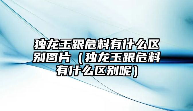 獨龍玉跟危料有什么區別圖片（獨龍玉跟危料有什么區別呢）