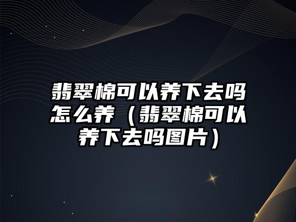 翡翠棉可以養(yǎng)下去嗎怎么養(yǎng)（翡翠棉可以養(yǎng)下去嗎圖片）