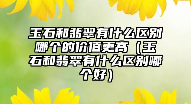 玉石和翡翠有什么區別哪個的價值更高（玉石和翡翠有什么區別哪個好）