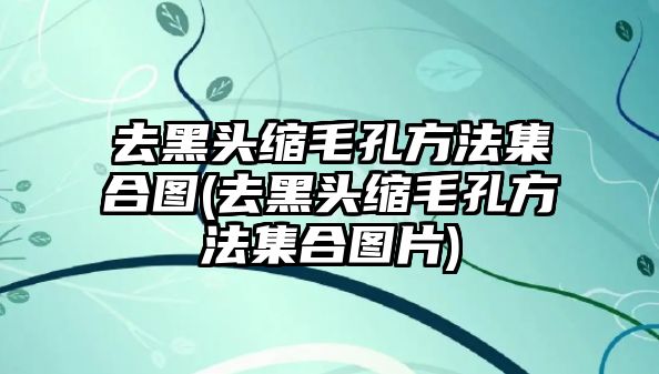 去黑頭縮毛孔方法集合圖(去黑頭縮毛孔方法集合圖片)