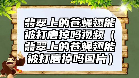 翡翠上的蒼蠅翅能被打磨掉嗎視頻（翡翠上的蒼蠅翅能被打磨掉嗎圖片）