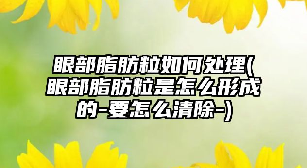 眼部脂肪粒如何處理(眼部脂肪粒是怎么形成的-要怎么清除-)