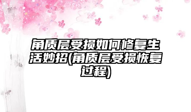 角質層受損如何修復生活妙招(角質層受損恢復過程)