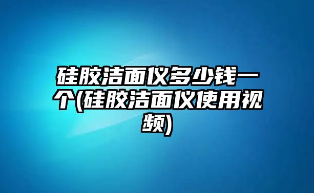 硅膠潔面儀多少錢一個(硅膠潔面儀使用視頻)