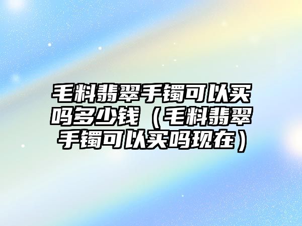 毛料翡翠手鐲可以買嗎多少錢（毛料翡翠手鐲可以買嗎現在）