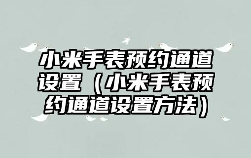 小米手表預約通道設置（小米手表預約通道設置方法）