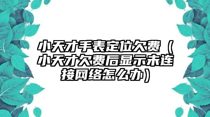 小天才手表定位欠費（小天才欠費后顯示未連接網絡怎么辦）