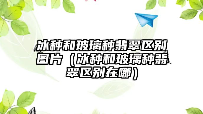 冰種和玻璃種翡翠區別圖片（冰種和玻璃種翡翠區別在哪）