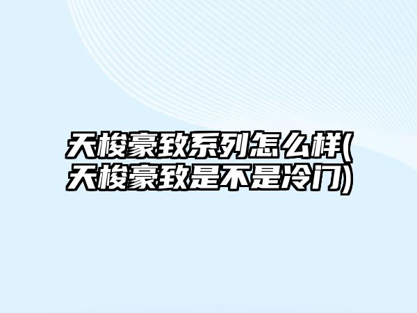 天梭豪致系列怎么樣(天梭豪致是不是冷門)