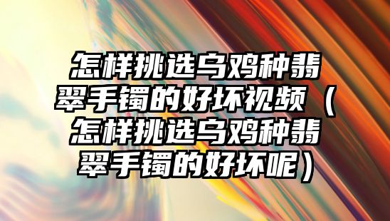 怎樣挑選烏雞種翡翠手鐲的好壞視頻（怎樣挑選烏雞種翡翠手鐲的好壞呢）