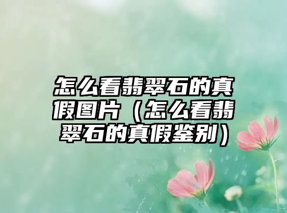 怎么看翡翠石的真假圖片（怎么看翡翠石的真假鑒別）