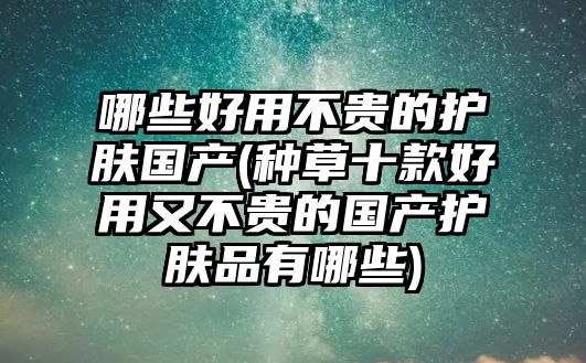 哪些好用不貴的護膚國產(種草十款好用又不貴的國產護膚品有哪些)