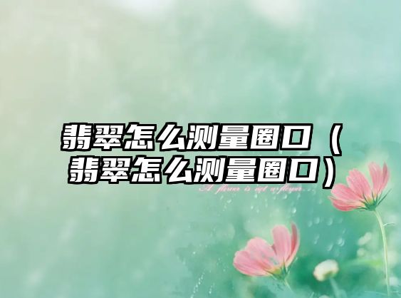 翡翠怎么測量圈口（翡翠怎么測量圈口）