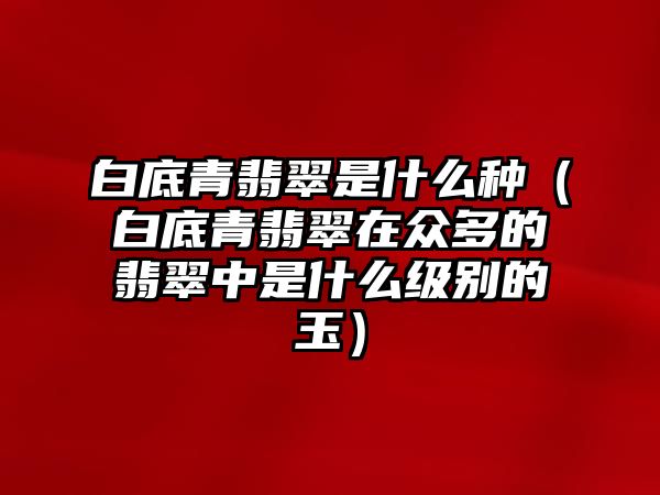 白底青翡翠是什么種（白底青翡翠在眾多的翡翠中是什么級別的玉）