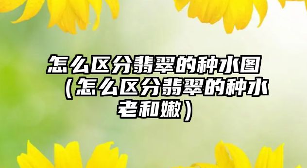 怎么區分翡翠的種水圖（怎么區分翡翠的種水老和嫩）