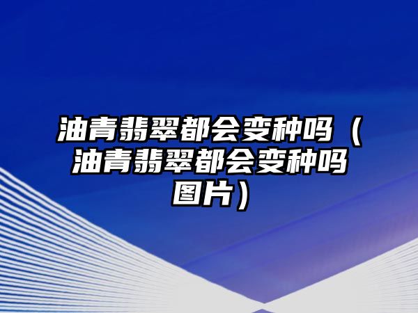 油青翡翠都會變種嗎（油青翡翠都會變種嗎圖片）