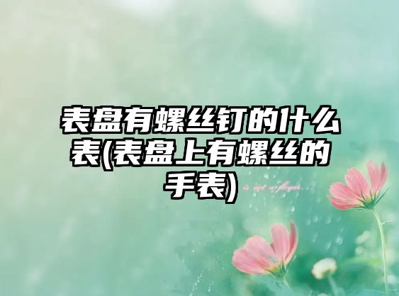 表盤有螺絲釘的什么表(表盤上有螺絲的手表)