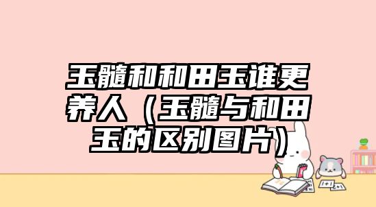 玉髓和和田玉誰更養(yǎng)人（玉髓與和田玉的區(qū)別圖片）