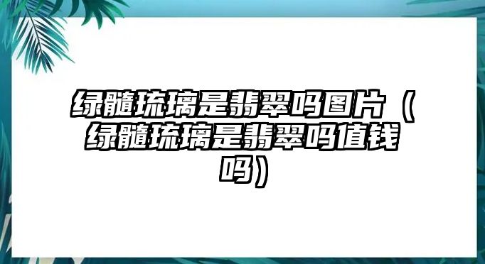 綠髓琉璃是翡翠嗎圖片（綠髓琉璃是翡翠嗎值錢嗎）