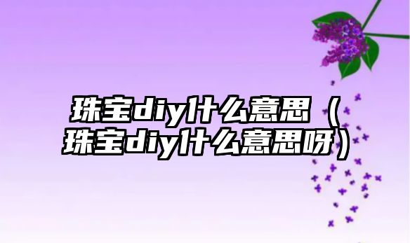 珠寶diy什么意思（珠寶diy什么意思呀）