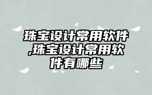 珠寶設計常用軟件,珠寶設計常用軟件有哪些