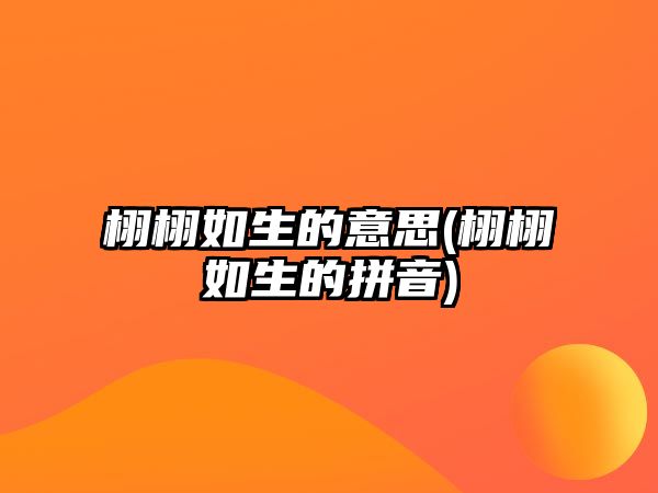 栩栩如生的意思(栩栩如生的拼音)