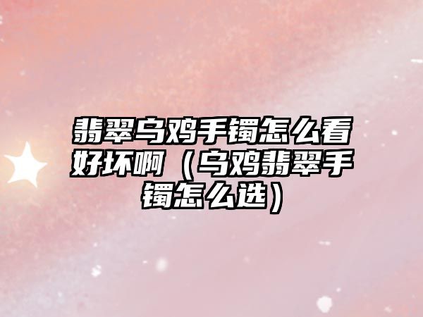 翡翠烏雞手鐲怎么看好壞啊（烏雞翡翠手鐲怎么選）