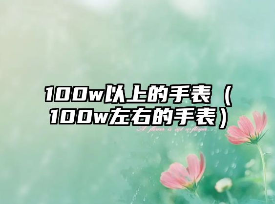 100w以上的手表（100w左右的手表）