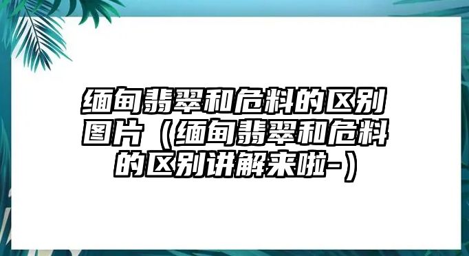 緬甸翡翠和危料的區(qū)別圖片（緬甸翡翠和危料的區(qū)別講解來啦-）